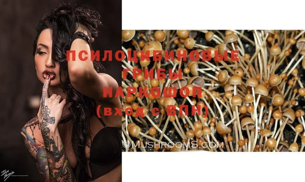PSILOCYBIN Кинешма