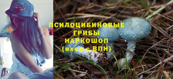 PSILOCYBIN Кинешма