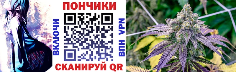 Купить где Починок Марихуана ГИДРОПОН